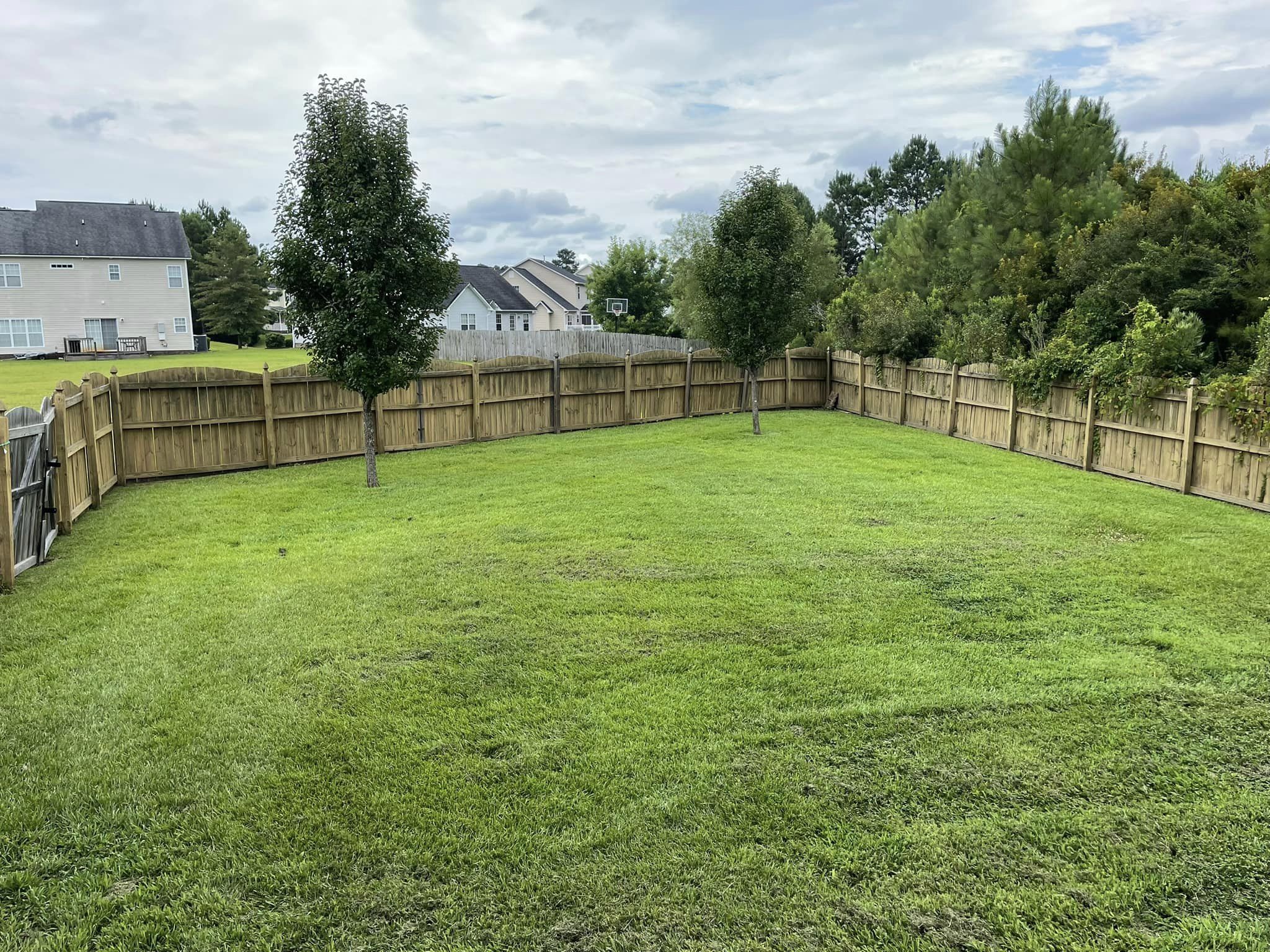 A perfectly cleaned and cut backyard with a wooden privacy fence.